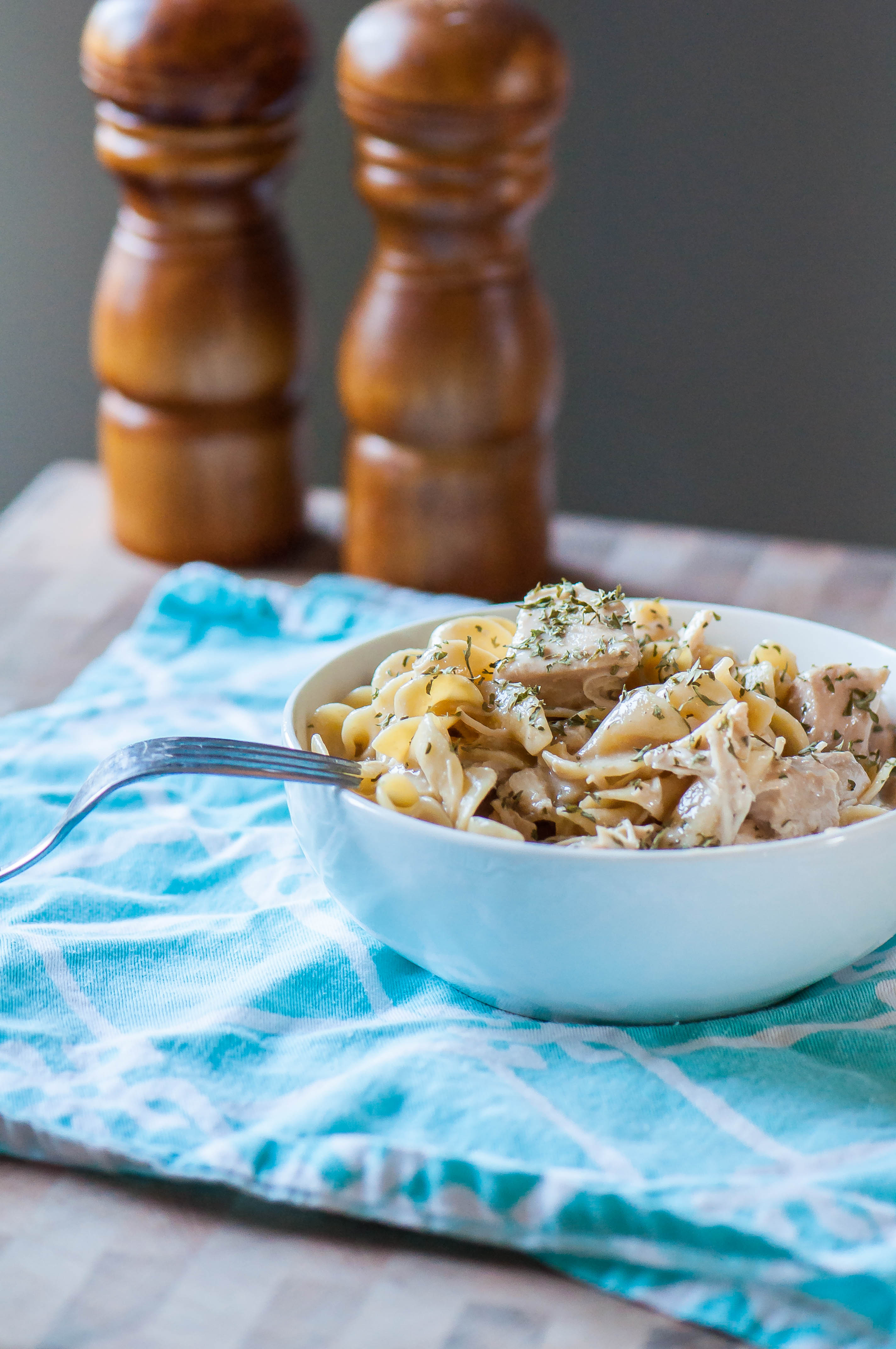 Slow Cooker Chicken Stroganoff